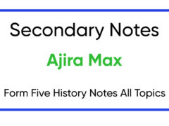 Form Five History Notes All Topics Form Five History Notes All Topics